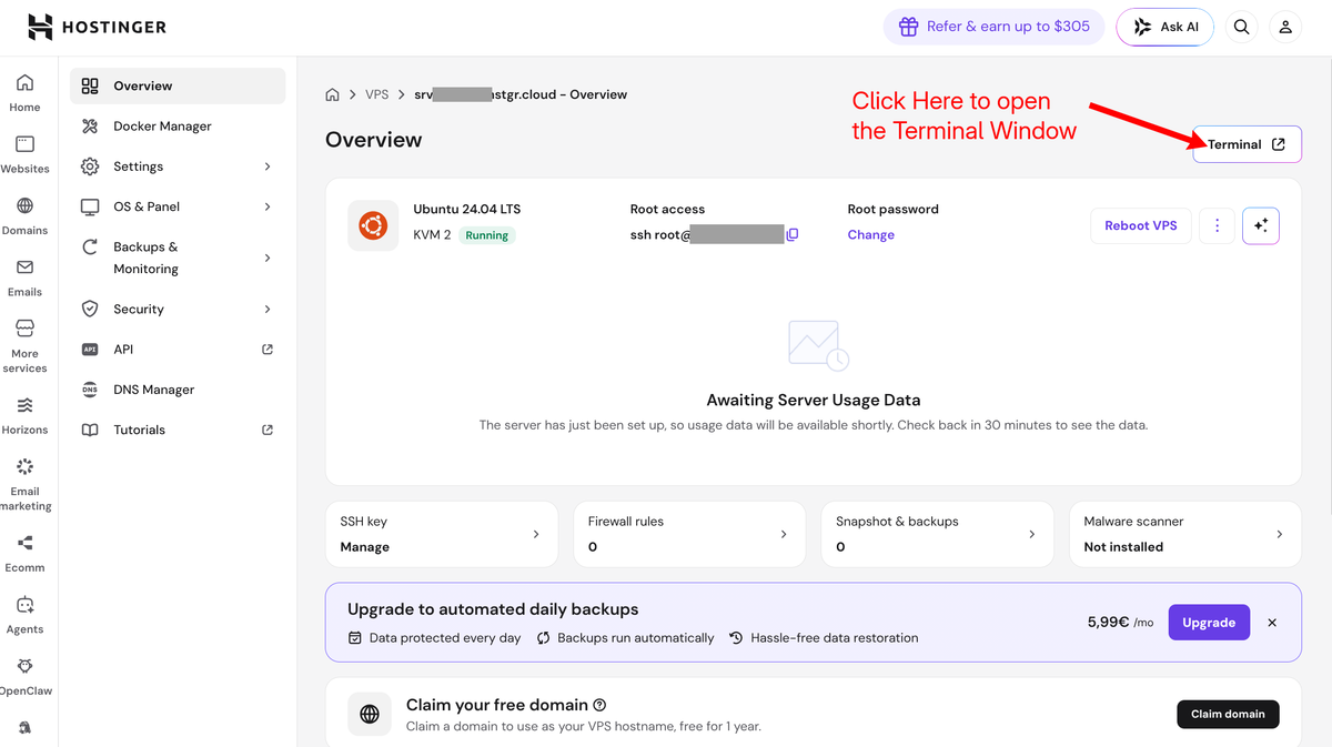 Hostinger's VPS dashboard with an arrow pointing at the Terminal button in the top-right corner